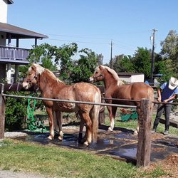 Kacey Equitation & Horsemanship