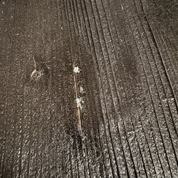 The Dump Furniture Outlet - Dinette table oozing sap!