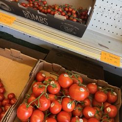 Palizzi Farms