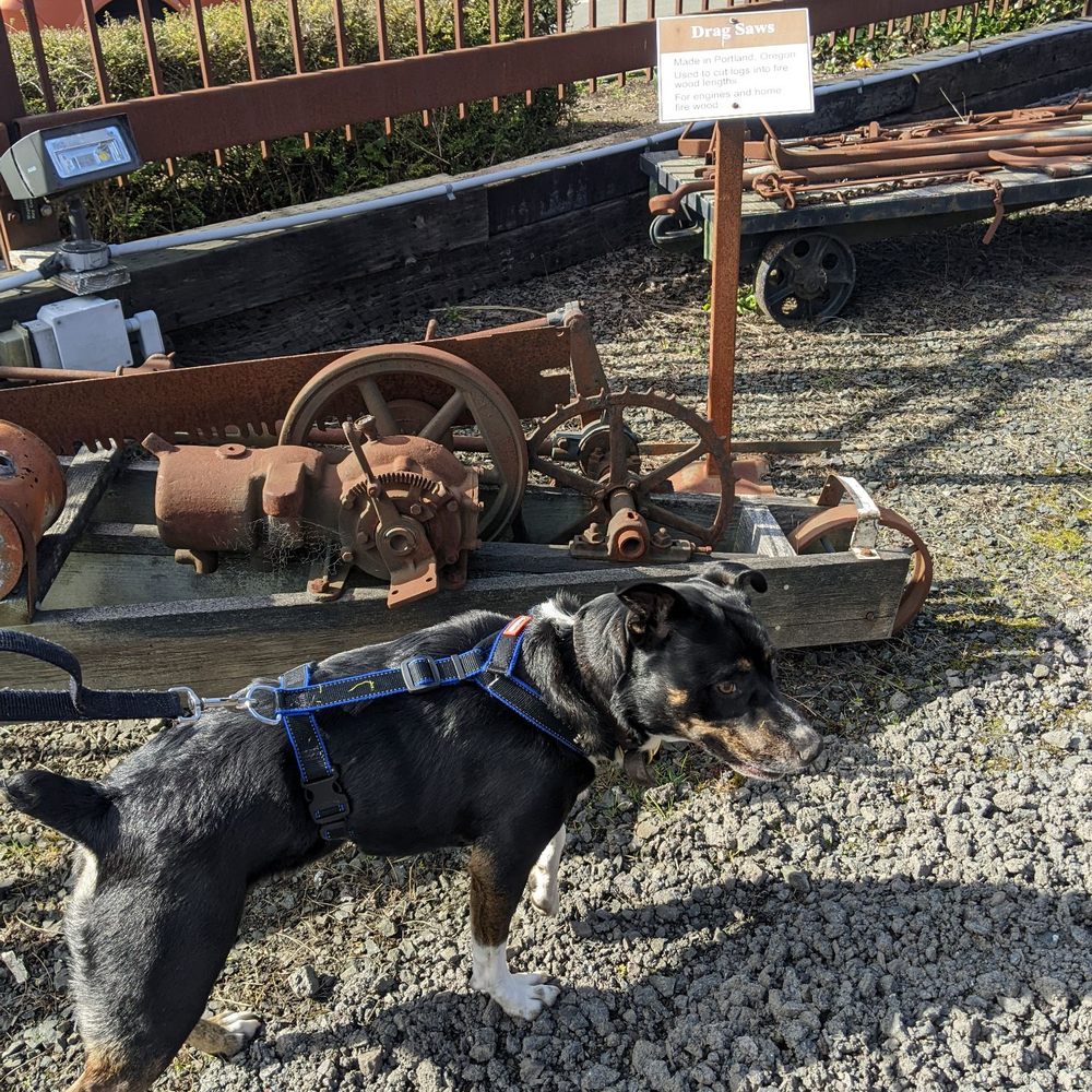 Oregon Coast Historical Railway - They have signs on all the exhibits so I can learn more! - Museums Near Me - Coos Bay, Oregon Oregon Coast Historical Railway - They have signs on all the exhibits so I can learn more! - Museums Near Me - Coos Bay, Oregon