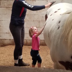 Prince Equestrian Sports - Learning to brush.