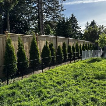 Skillful Fence - Fences & Gates Near Me - Federal Way, Washington Skillful Fence - Fences & Gates Near Me - Federal Way, Washington