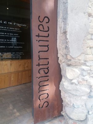 Somiatruites by null