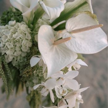I Do...Weddings & Events - Wedding Planning Near Me - San Diego, California I Do...Weddings & Events - Wedding Planning Near Me - San Diego, California