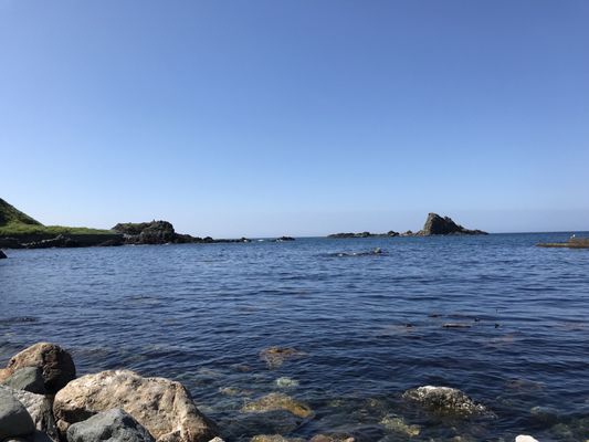 Otaru Aquarium by null