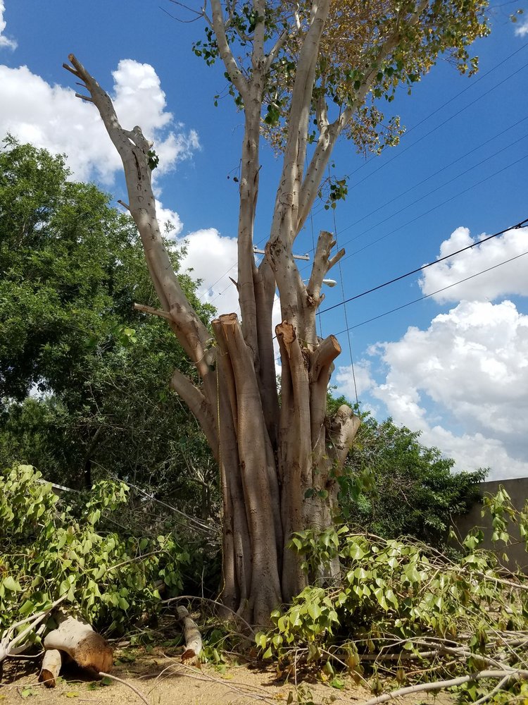 Slide of Trinidad Services