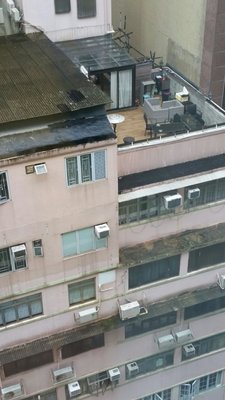 Oasis Avenue by null