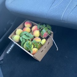 Wind Drift Orchard - A bunch of tiny peaches