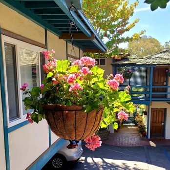 The Normandy Inn - Beautiful flowers - Hotels Near Me - Carmel, California