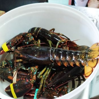 The Lobster Shack - Fresh live lobster - Seafood Near Me - Ogunquit, Maine The Lobster Shack - Fresh live lobster - Seafood Near Me - Ogunquit, Maine