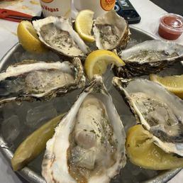 Oysters