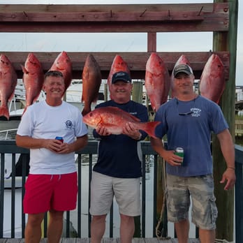 High Cotton Charters - 4 hour snapper trip - Fishing Near Me - Orange Beach, Alabama High Cotton Charters - 4 hour snapper trip - Fishing Near Me - Orange Beach, Alabama