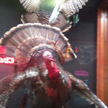 Outback Saloon & Grill - "YOU ARE NOT PUTTING THOSE STUFFED TURKEYS IN MY LIVING ROOM! Take them down to the bar, right now" - Pizza Near Me - Stanchfield, Minnesota Outback Saloon & Grill - "YOU ARE NOT PUTTING THOSE STUFFED TURKEYS IN MY LIVING ROOM! Take them down to the bar, right now" - Pizza Near Me - Stanchfield, Minnesota