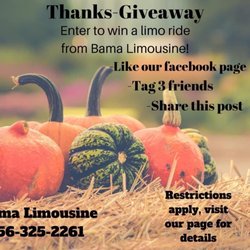 Bama Limousine - Give back time. Go to face book page- Bama Limousine for more info.