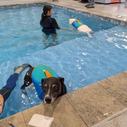 Tsavo's Canine Rehabilitation & Fitness Center - Water therapy, one of many options to help your pup