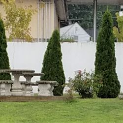 Bicentennial Park - garden area