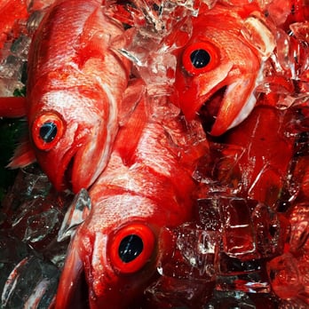 O'ahu Market - Troys has the best fish! - Grocery Near Me - Honolulu, Hawaii