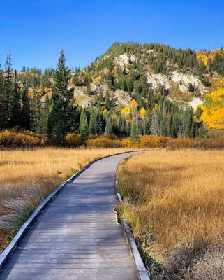 Big Cottonwood Canyon by null