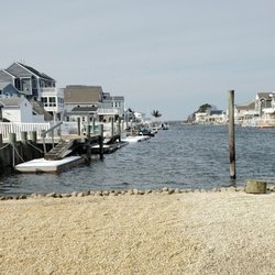 For-Shore Weed Control - BEFORE