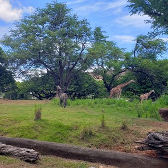 Honolulu Zoo - Zoos Near Me - Honolulu, Hawaii