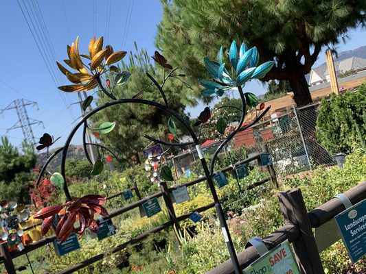 Armstrong Garden Centers 76 Photos 54 Reviews Nurseries Gardening 1515 Foothill Blvd La Canada Flintridge Ca United States Phone Number Yelp