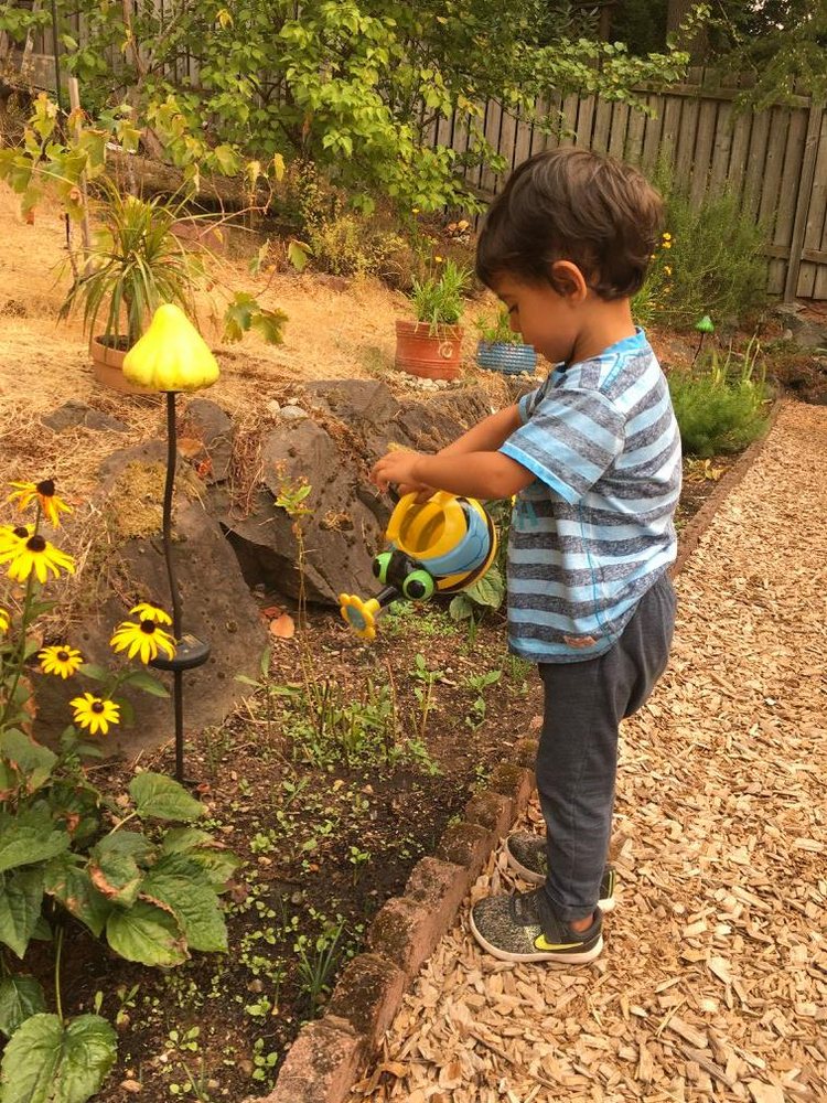 Honeybunch daycare - childcare center in Bellevue, WA