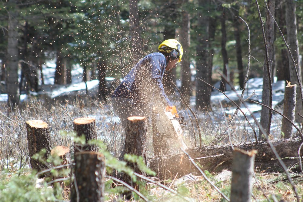 Complete Tree Service - tree service in Colorado Springs, CO