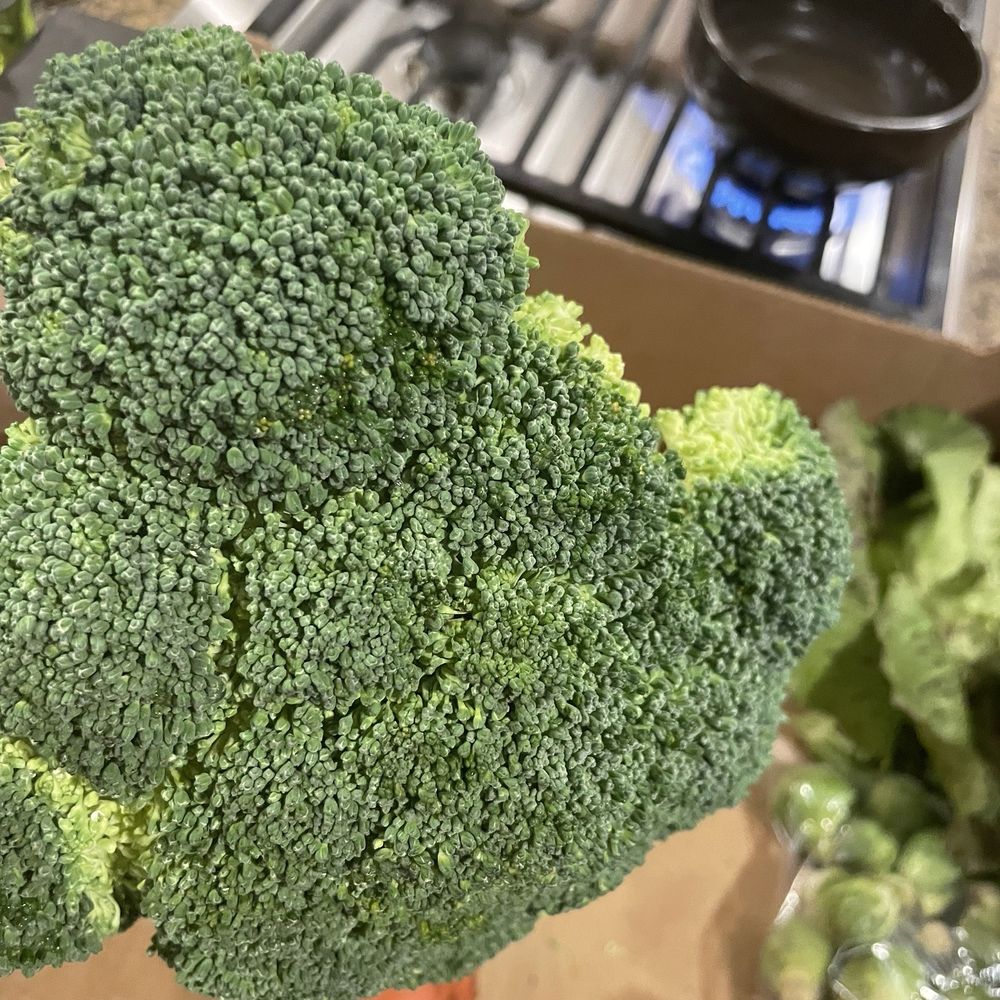 Ecolibrium Farms - Broccoli again!! It's the best broccoli I've seen and beats PCC or any other organic store. Simply the best! - Farms Near Me - Redmond, Washington