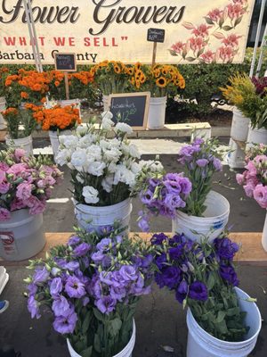 Marina Del Rey Farmer's Market by null