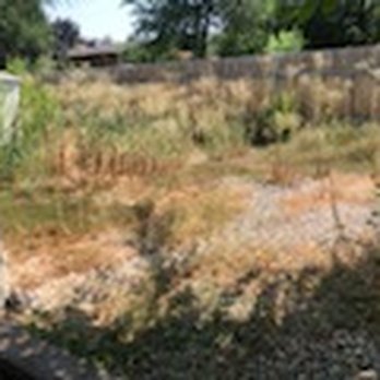 The Perfect Cut Landscape & Maintenance - Backyard before - Landscaping Near Me The Perfect Cut Landscape & Maintenance - Backyard before - Landscaping Near Me