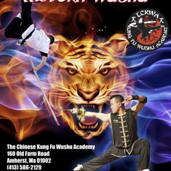 Chinese Kung Fu Wushu Academy