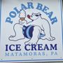 Photo of Polar Bear