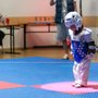 Photo of Olympic Taekwondo Academy