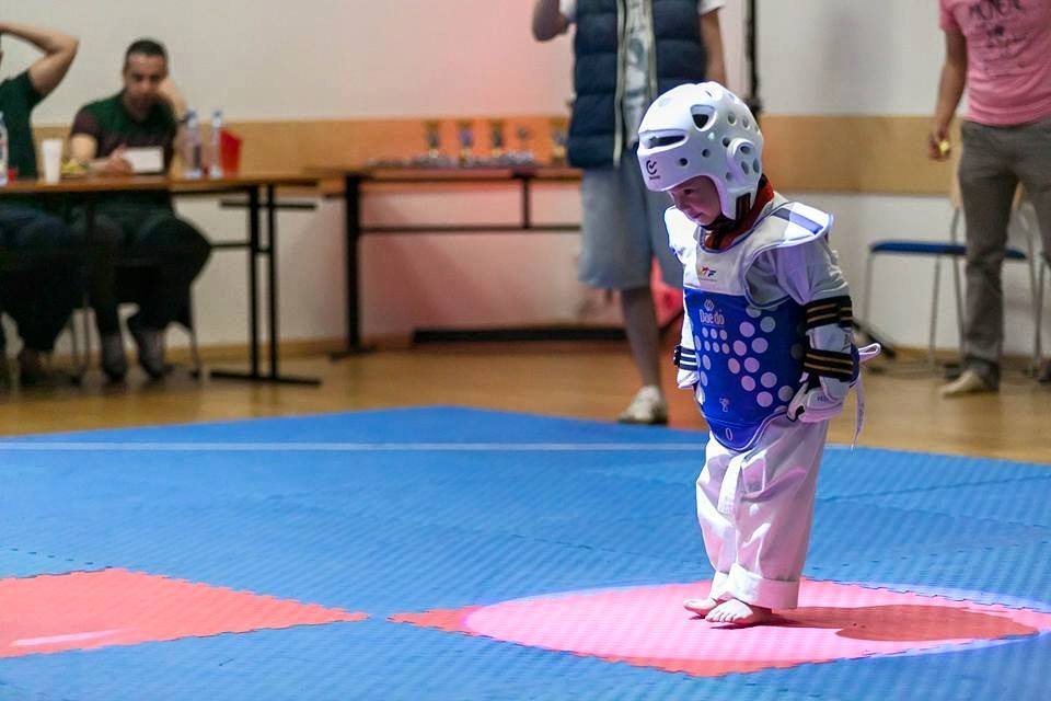 Olympic Taekwondo Academy Logo