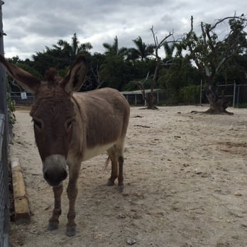 Pinto's Farm - Venues & Event Spaces Near Me - Miami, Florida Pinto's Farm - Venues & Event Spaces Near Me - Miami, Florida