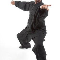 Flying Tortoise Academy - Chen TaiJi Master Derryl Willis