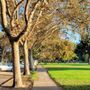 Photo of Backesto Park