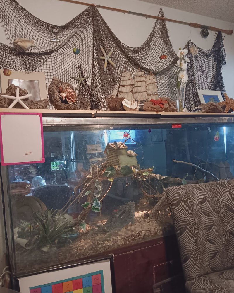 Lydia Duarte - grief counselor in Fresno, CA