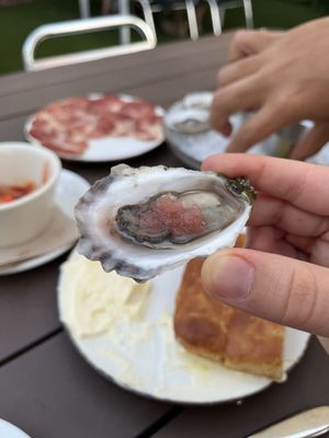 The Wicked Oyster by null