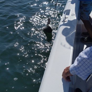 Ollie Raja Charters - Getting the hook out safely - Fishing Near Me - Holden Beach, North Carolina
