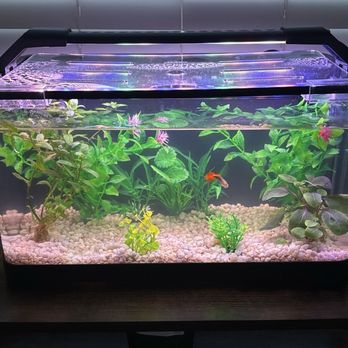 Aquaterrtopia - Local Fish Stores Near Me - Crowley, Texas