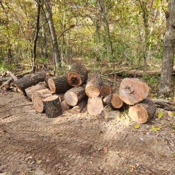 Beckmann and Son Tree Services - Tree Services Near Me Beckmann and Son Tree Services - Tree Services Near Me