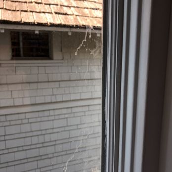 Clarity Exterior Home Services - Dirt you can see - Pressure Washers Near Me - Surrey, British Columbia Clarity Exterior Home Services - Dirt you can see - Pressure Washers Near Me - Surrey, British Columbia