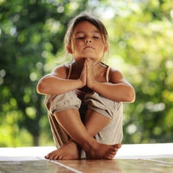 Healthwise Yoga & Wellness Studio - Healthwise Yoga & Wellness Studio, Maple Grove, MN Next Generation Exercise