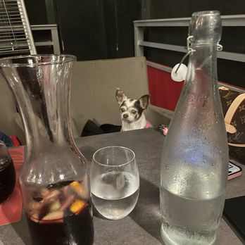 Lamoraga - Molly enjoyed hanging out with us - Spanish Near Me - Naples, Florida