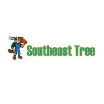 Southeast Tree - Tree Services Near Me - Pasadena, Texas Southeast Tree - Tree Services Near Me - Pasadena, Texas