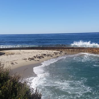 La Jolla Cove - Sun bathing!! - Parks Near Me - La Jolla, California