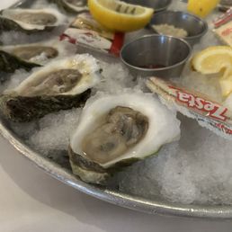 Oysters