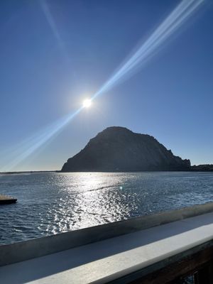 Morro Bay Oyster Company by null