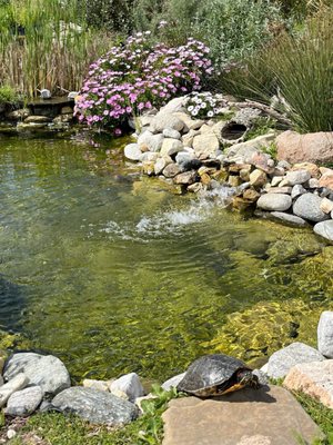 South Coast Botanic Garden by null